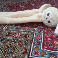 گوشگیر|اسباب‌‌بازی|زنجان, |دیوار