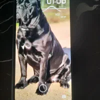 گوشی رد می نوت۱۳