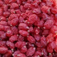 زرشک پفکی اعلاء زیر قیمت کشاورز