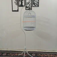 دو عدد قفس قیمت مناسب