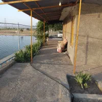 مجتمع دامداری، باغ و پرورش بوقلمون و پرورش ماهی