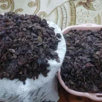 کشمش خاص دینور