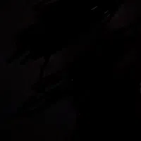 کفتر خال ماده