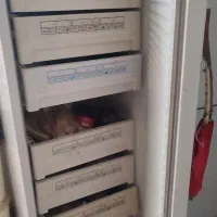 فریزر پارس|یخچال و فریزر|زرند, |دیوار