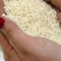 برنج هاشمی درجه یک