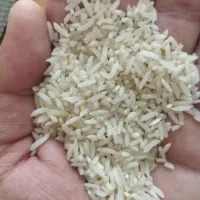 لاشه برنج طارم هاشمی