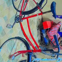 دوچرخه بجه فونیکس تمیز|دوچرخه، اسکیت، اسکوتر|اهواز, کوی مندلی(سه راه خرمشهر)|دیوار