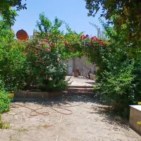 باغ-1200-متری-باغرود-کوچه-محمدی