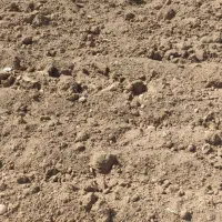 اجاره زمین کشاورزی