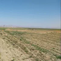 فروش-زمین