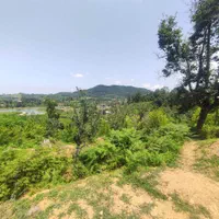 فروش فوری زمین ۷۴۵متری داخل طرح هادی، روستای چماچا|فروش زمین و ملک کلنگی|شفت, |دیوار