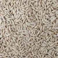 ج و|خوردنی و آشامیدنی|دهگلان, |دیوار
