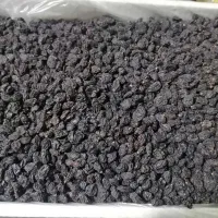 حراج مویز بدون هسته افغان