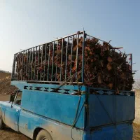 خرید انواع چوب|خدمات باغبانی و درختکاری|ارومیه, |دیوار