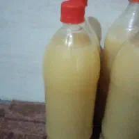 ابلیمو|خوردنی و آشامیدنی|جهرم, |دیوار