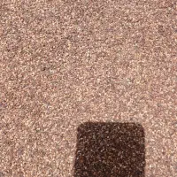 کونچد