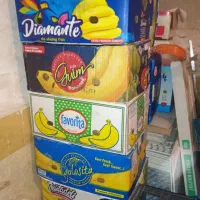 کارتن موز|حراج|قم, ولیعصر|دیوار