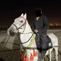 فروش اسب|اسب و تجهیزات اسب‌سواری|باقرشهر, |دیوار