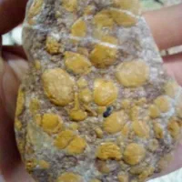 فروش شهاب سنگ|کلکسیون و سرگرمی|گالیکش, |دیوار