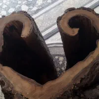 تنه درخت گردو مخصوص دکوری و میز|صنایع دستی و سایر لوازم تزئینی|ملایر, |دیوار