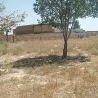 ۴۰۰ متر زمین واقع در شهر اباد|فروش زمین و ملک کلنگی|مشهد, شهرآباد|دیوار