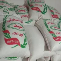 فروش انواع برنج ایرانی