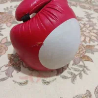 دستکش بوکس ۳۵۰تومن|تجهیزات ورزشی|مشهد, بهمن|دیوار