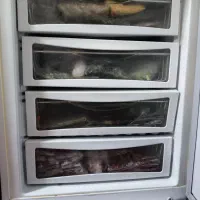 یخچال 20 فوت سوزان تخفیف ویژه دارد|یخچال و فریزر|محمدیه-قزوین, |دیوار