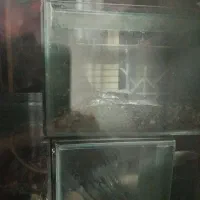 اکواریوم یک متری  شیشه ۱۰ میل