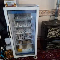 سلام دستگاه جوجه کشی ۲۱۰تایی|لوازم جانبی حیوانات|تاتار علیا, |دیوار