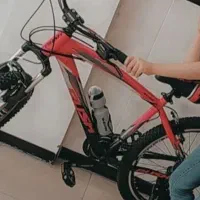 دوچرخه دزدیده شده