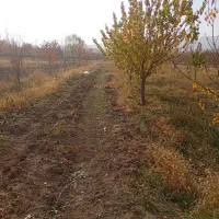 فروش باغ نقلی|فروش زمین و ملک کلنگی|ماکو, |دیوار