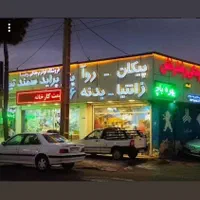 لنت ارزان رخش