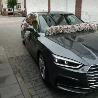 ماشین عروس و دسته گل|خدمات پذیرایی، مراسم|تهران, پارک شهر|دیوار