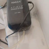 آکواریوم|ماهی|کرمان, |دیوار