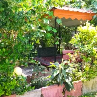 ویلا باغ استخردار درسا رامسر|اجارهٔ کوتاه‌مدت ویلا و باغ|رامسر, |دیوار