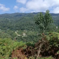 زمین-دراول-جواهرده-کلبه-گردشگری-تفریحی1350متر