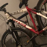 دوچرخه ویوا ۲۶