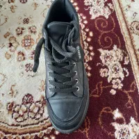 کفش اسپورت|کیف، کفش، کمربند|اهر, |دیوار