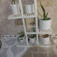 گلدون خالی با گلدون گل