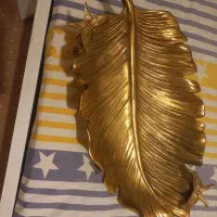 میوه خوری