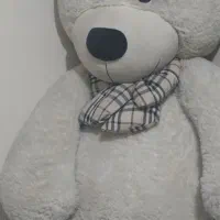 خرس دو متری