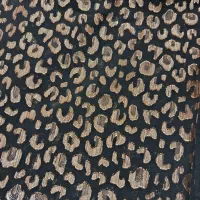 پارچه|لباس|ارومیه, |دیوار