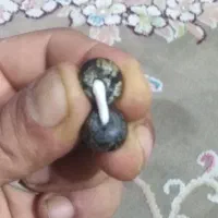 چهرمهر|جواهرات|قشم, |دیوار