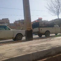 حمل باروانت