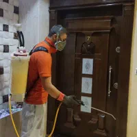 سمپاشی تخصصی سوسک و ساس با ضمانت کتبی|خدمات نظافت|کرج, برغان|دیوار