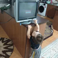 مانیتور کامپیوتردرحدنو