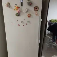 یخچال دوقلو اورست