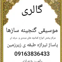 انواع کمانچه با برندهای معتبر