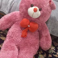 خرس|اسباب‌بازی بچه|یزد, |دیوار